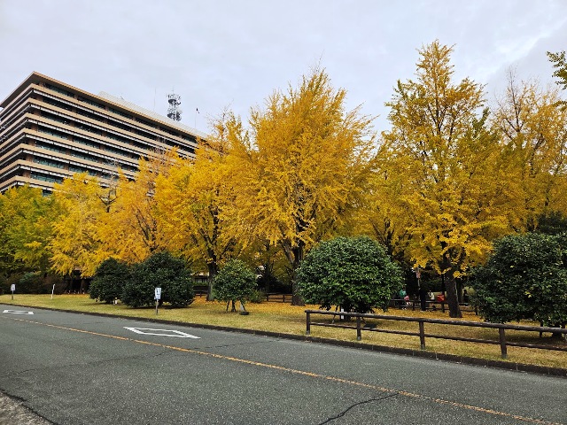 技能競技全国大会　報告会について